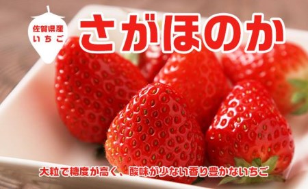 AE015_あま～い！！キンド酵素栽培いちご【さがほのか２７０ｇ×４パック】数量限定！！