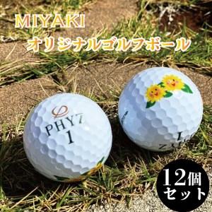 BG112_みやき町オリジナルゴルフボール 12個