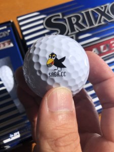 BW003_佐賀カントリーオリジナルゴルフボール12個入り  佐賀県みやき 