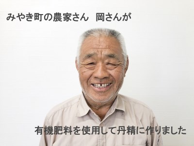 BE030_佐賀県みやき町岡さんちのたまねぎ5kg【２L、３Lサイズ】