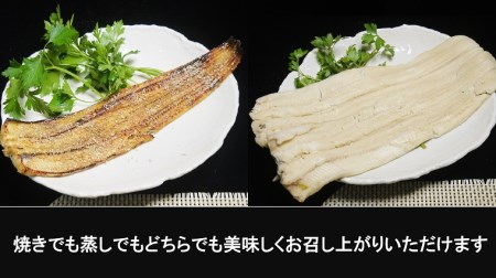 CB007_天然あなごの蒲焼３～５尾　500g前後（煮あなご）【松寿し特製たれ付】