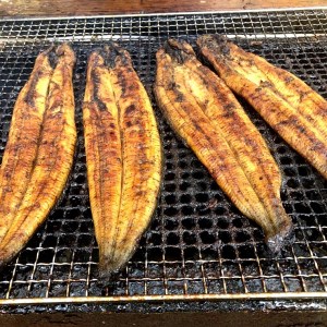 BN072_国産うなぎ蒲焼2尾入り