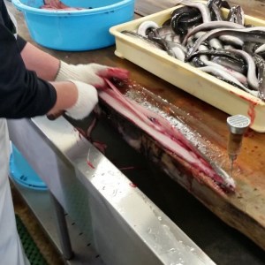 BN072_国産うなぎ蒲焼2尾入り