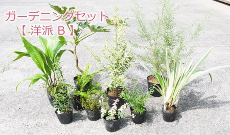 Bs044 ガーデニングセット 洋派b 花 苗 植物 家庭菜園 花壇 プランター ガーデニング 佐賀県みやき町 ふるさと納税サイト ふるなび