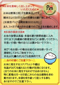 CID55_【６回定期便】無洗米さがびより１０ｋｇ（５ｋｇ×２袋） 【五つ星お米マイスター厳選！】