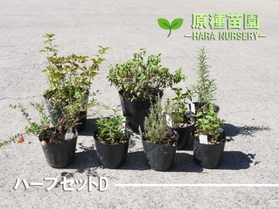 Bs068 ハーブセットd 花 苗 植物 家庭菜園 花壇 プランター ガーデニング 佐賀県みやき町 ふるさと納税サイト ふるなび