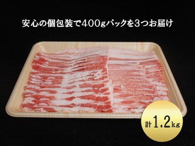 EN025_ブランド豚肉　肥前さくらポークうす切り（バラ）(400ｇ×３Ｐ）