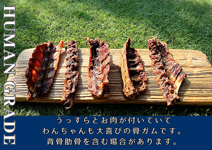 FB179_大型犬向け☆天然いのししの骨ガム3本【定期便】全6回