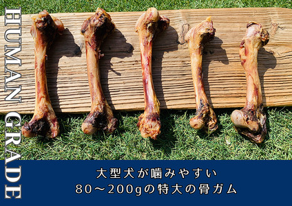 FB180_大型犬向け☆天然いのししの骨ガム3本【定期便】全12回