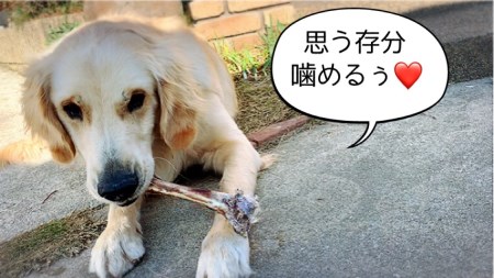 FB145_大型犬向け☆天然いのししのスモーク骨ガム6本