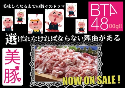 豪快特大盛り！九州産豚4800g切落し