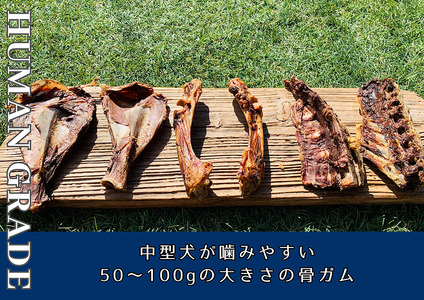 FB176_中型犬向け☆天然いのししの骨ガム4本（300～400g）【定期便】全6回