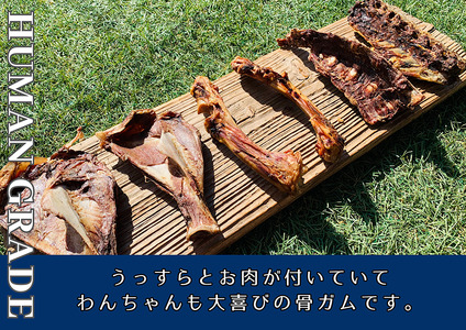 FB176_中型犬向け☆天然いのししの骨ガム4本（300～400g）【定期便】全6回