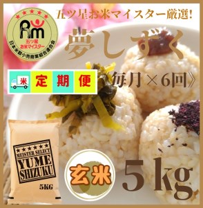 CID01_『新米予約初回2025年10月発送』【６回定期便】玄米『夢しずく』５ｋｇ 【五つ星お米マイスター厳選！】