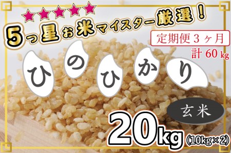 BG295_【3回定期便】★★★★★五ツ星お米マイスターが選んだ逸品☆ひのひかり(10kg×2)玄米20kg お米 米 ヒノヒカリ玄米