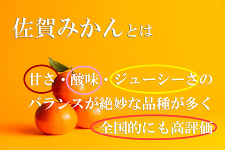 DV034_清見(きよみ)みかん8kg