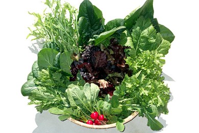 有機栽培 葉物野菜セット（サガンベジ） 寄付金：10000円