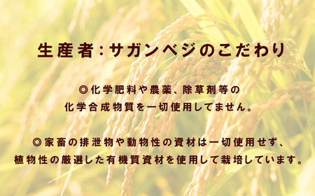 CQ029_【6か月定期便】ビーガン米10kg　玄米【植物性で育てた完全無農薬のサガンベジブランド】