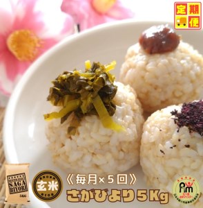 CID45_【５回定期便】さがびより【玄米】５kg 【五つ星お米マイスター厳選！】