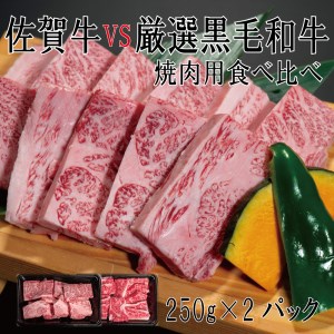 DX033_佐賀牛×厳選黒毛和牛　焼肉用食べ比べ250g×2