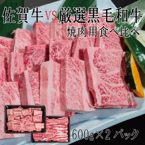 DX034_佐賀牛×厳選黒毛和牛　焼肉用食べ比べ600ｇ×2