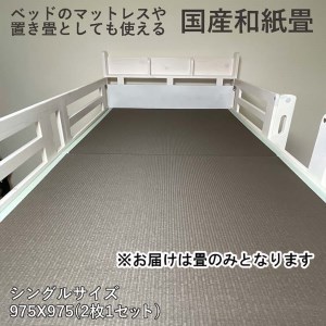 EZ035_和紙 畳 ベット用 置き畳2枚セット( ブラウン)
