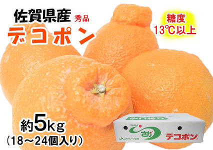 BF028_デコポン 秀品 約5kg（約18～24個）糖度13度以上