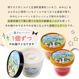 松本牧場アイス定期便（12個入り×2回）／ ジェラート アイスクリーム【Z060】