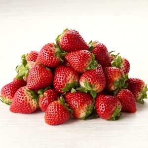 おすすめ定期便（12回）｜定期便【Z098】