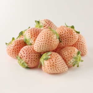 【4回定期便】旬のフルーツ定期便／ いちご キンショウメロン ハウスみかん 果物【Z095】