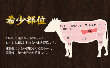 訳あり！佐賀牛ヒレサイコロステーキ（スパイス付き）／ サイコロステーキ【A109】