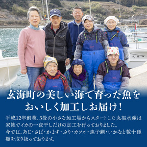 そのまま揚げるだけ! 揚げ物おかずセット(アジフライ 8枚+イカ入りコロッケ 15個)/ アジフライ【A074】