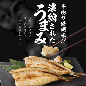 玄界灘の贅沢干物 6種セット / 干物【A071】