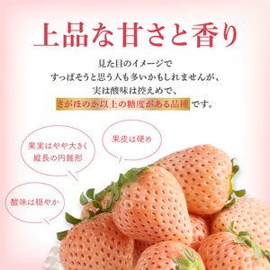 玄海町産白いちご 淡雪DX 4パック｜白苺 希少 淡雪 果物 フルーツ 旬【D021】