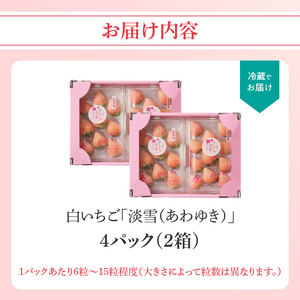 玄海町産白いちご 淡雪DX 4パック｜白苺 希少 淡雪 果物 フルーツ 旬【D021】