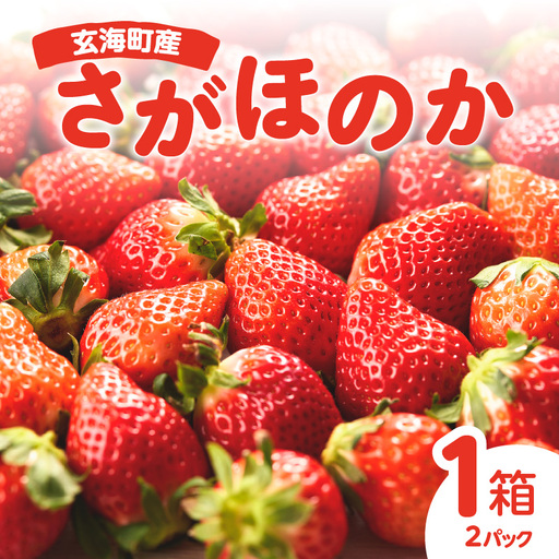 ★予約受付★ 佐賀県玄海町産いちご「さがほのか」2026年1月～4月順次配送 ／ さがほのか【D022】