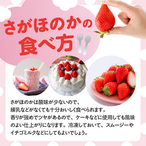 ★予約受付★ 佐賀県玄海町産「さがほのか」毎月定期便 ／ いちご 定期便【Z111】