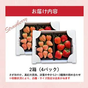 ★予約受付★玄海町産いろどりいちご詰め合わせ（家庭用・訳あり）｜さがほのか 白苺 淡雪 真紅の美鈴 果物 フルーツ 食べ比べ【B190】