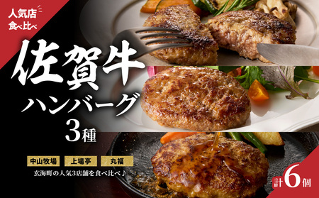 ハンバーグ3種詰合せ(ギフトセット)/ 佐賀牛 ハンバーグ 食べ比べ【B207】