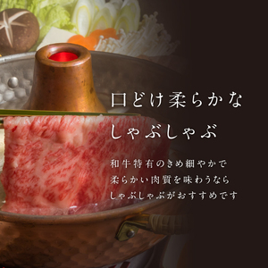 【6回定期便】佐賀牛霜降りスライス 600g / 牛肉 定期便【Z119_06】