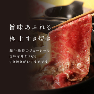 【3回定期便】佐賀牛赤身スライス 1.2kg / 牛肉 定期便【Z122_03】