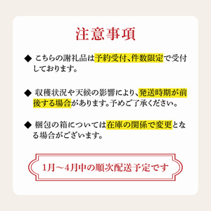 ★予約受付★3色いちご食べ比べセット|さがほのか 白いちご 淡雪 真紅の美鈴 フルーツ 旬 玄海町【C030】