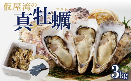 仮屋湾の真牡蠣 3kg【殻付き】（1月配送）【D005-01】