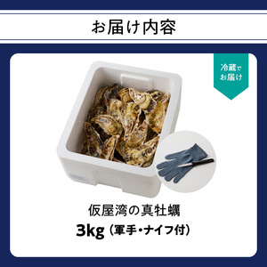 仮屋湾の真牡蠣 3kg【殻付き】（1月配送）【D005-01】