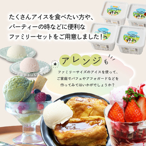 【最速配送】本格ジェラートファミリーセット 2L / アイス ジェラート アイスクリーム【B111】