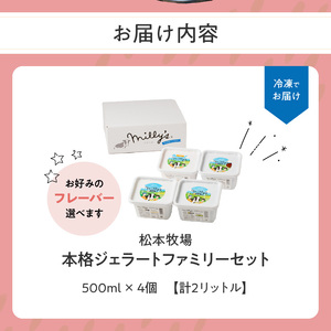 【最速配送】本格ジェラートファミリーセット 2L / アイス ジェラート アイスクリーム【B111】