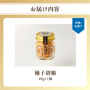 十六夜特製 柚子胡椒 40g｜ゆず 柚子 柚子ごしょう 胡椒 調味料 冷凍 佐賀県 玄海町【A110】