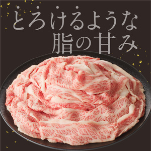 【訳あり】佐賀牛切り落とし1000g（500g×2パック）（6月配送）