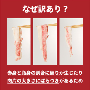 【訳あり】佐賀牛切り落とし1kg（500g×2パック）（12月配送）【B112-12】