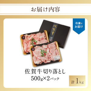 【訳あり】佐賀牛切り落とし1kg（500g×2パック）（12月配送）【B112-12】